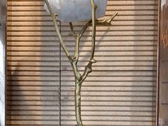 -Dragonfly悠庭·按摩Spa(新乐路店)