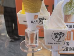 -野人先生现做冰淇淋(西安赛格店)