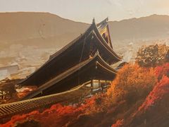 -白兔子密室(长寿路店)