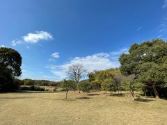 -长广溪湿地公园