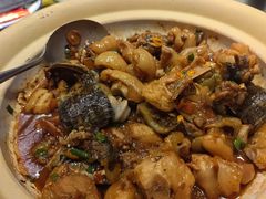 老甲鱼焖土鸡-老湘村·湖南土菜(天河维多利店)