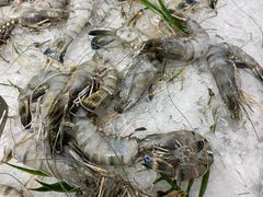 -蓝珊甄选海鲜自助·火锅大排档(近阿那亚店)