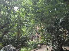 -莫催咖啡
