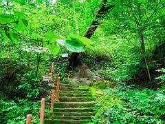-天女山森林公园