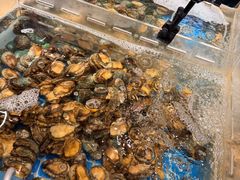 -美盛喜来登大酒店-盛宴标帜餐厅