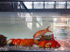 -君豪蟹都·湖景·农家乐(蟹舫苑店)