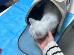 -皮特动物医院(24小时店)