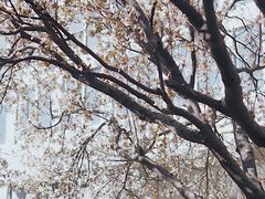 -山东师范大学(千佛山校区)