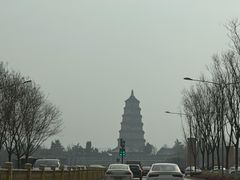 -魏家凉皮(大雁塔南广场餐厅)