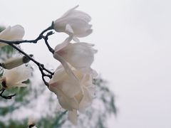 -北京明城墙遗址公园