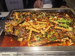 -京城·森鸽排档(双井店)