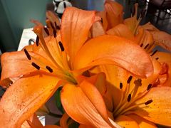 -南堂馆·新川菜(春熙路店)