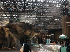 -杭州开元森泊度假乐园