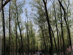 -秦皇岛野生动物园