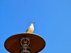 -昆明动物园