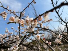 -白塘生态植物园