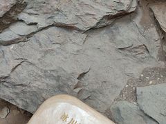 -中国第四纪冰川遗迹陈列馆