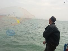 -北岐滩涂