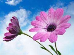 -馋胖肉蟹煲(洲河湾店)