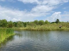 -溱湖国家湿地公园