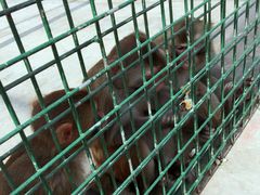 -南京金牛湖风景区