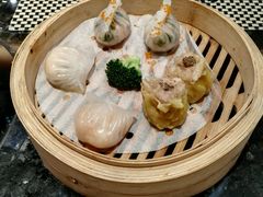 -新兴·金羊座·粤菜点心(乐峰店)