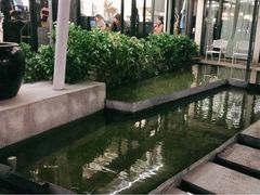 -大理老字号·舟渔的鱼野生菌海景餐厅(双廊店)