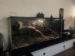 -HEY!TATTOO·嘿刺青