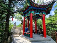 -王顺山国家森林公园