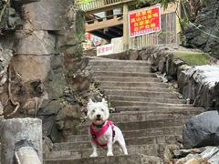 -藏龙百瀑风景区