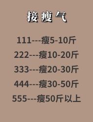 -Fundi张玉珊修身堂·indiba·BTL科技瘦身