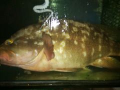 -合家小菜餐馆(新诚花苑店)