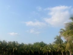 -深圳湾公园(南山区)