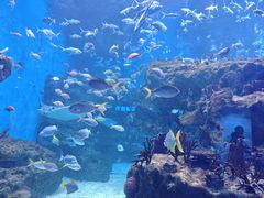 -海合安成都极地海洋公园
