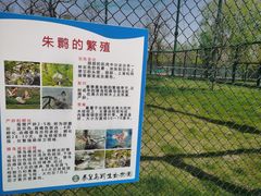 -秦皇岛野生动物园