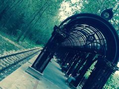 -合肥滨湖国家森林公园