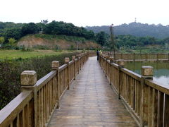 -清溪大王山森林公园