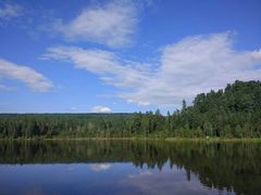 -五营红松林海景区