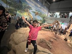 -自贡恐龙博物馆