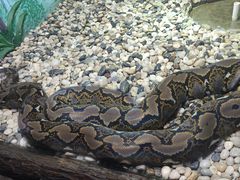 -石家庄市动物园