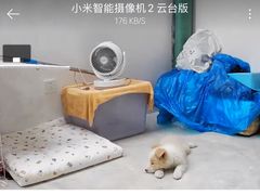 -宠颐生斯嘉宠物医院·急重症·心内科(谷阳北路分院)