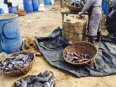 -尼甘布海鲜市场