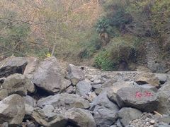 -宁波五龙潭景区