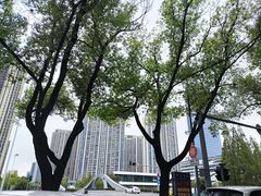 -昆山城市公园