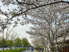 -嘉北郊野公园