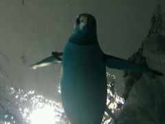 -广东省拱北口岸中国旅行社(华宾营业部)