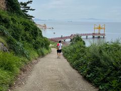 -养马岛旅游度假区
