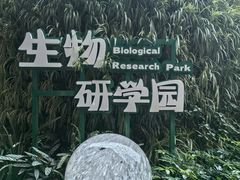 -花之城