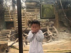 -灵玲国际马戏城