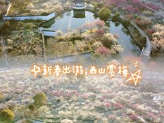 -林屋洞景区
